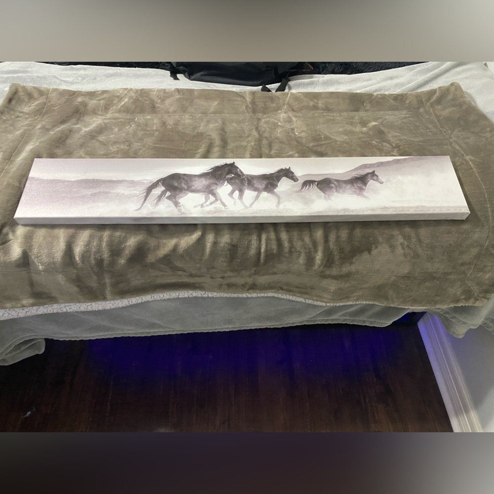 horse canvas